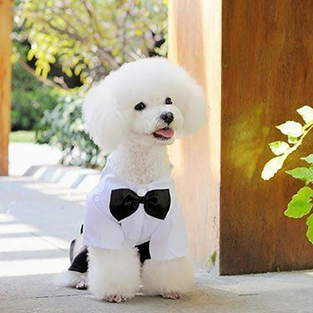 Summer Dog Clothing - Traje con pajarita para perro, traje