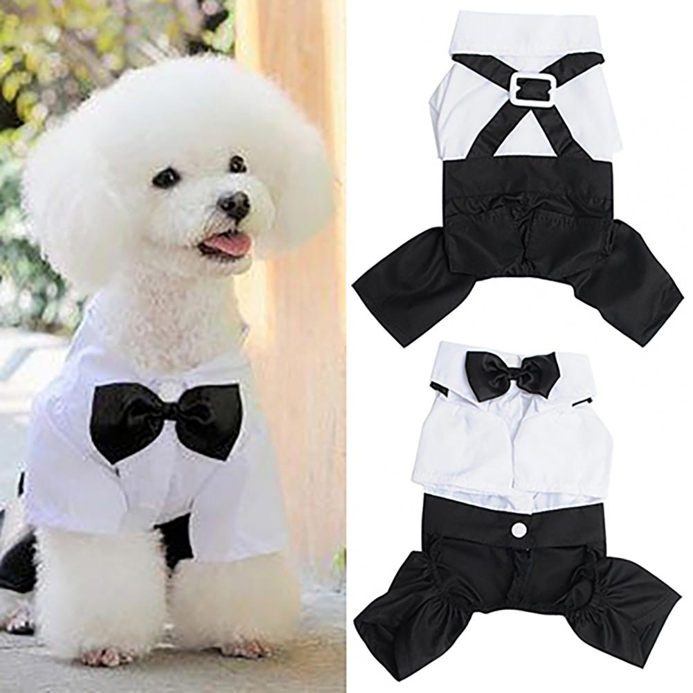 Traje con pajarita para perro, - Summer Dog Clothing reseña y precio