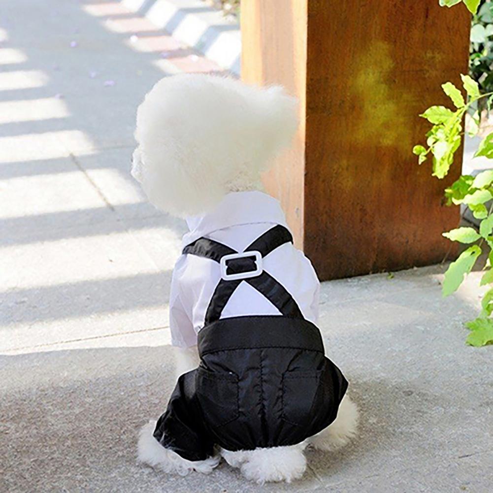Traje con pajarita para perro, - Summer Dog Clothing reseña y precio