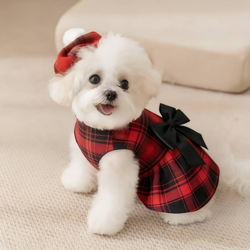 Ropa para Perros, Camisa a Cua - Summer Dog Clothing reseña y precio